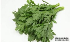 多吃10种蔬菜 让宝宝聪颖过人