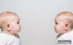 护眼食谱助宝宝吃出好视力