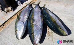 3类食物可致胎儿畸形 孕妇慎食! 3类食物可致胎儿畸形 孕妇慎食!
