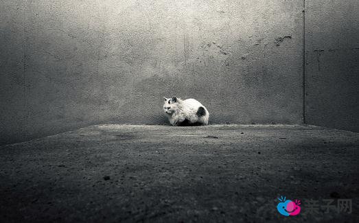 如何与自闭症儿童沟通？