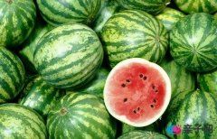 孕妇胎火旺易口渴试试4种茶饮 孕妇胎火旺易口渴试试4种茶饮