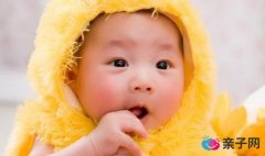孕妈孕期吃这些 宝宝漂亮又聪明 孕妈孕期吃这些 宝宝漂亮又聪明
