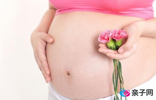 孕期饮食 怀孕十个月的养胎饮食指南