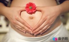 偏食孕妈营养经 营养均衡是关键