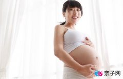 这些食物吃了很伤胎! 这些食物吃了很伤胎!