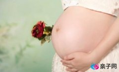 怀孕9个月需要哪些营养 怀孕9个月需要哪些营养