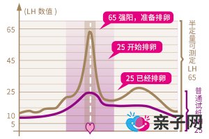 半定量排卵试纸怎么用 半定量排卵试纸怎么用