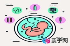 怀孕可以去日本吗