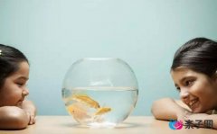 孩子爱捣蛋?父母不能给孩子太多规矩 孩子爱捣蛋?父母不能给孩子太多规矩