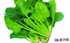 孕妇可以喝饮料吗?补充营养要吃什么? 孕妇可以喝饮料吗?补充营养要吃什么?