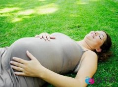 孕妇怎么补充矿物质?含矿物质较多的食物 孕妇怎么补充矿物质?含矿物质较多的食物