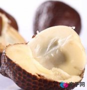 孕妇能吃蛇皮果吗?孕妇吃蛇皮果有什么好处 孕妇能吃蛇皮果吗?孕妇吃蛇皮果有什么好处