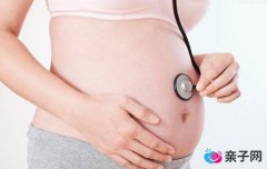 夏季孕妇养生食谱:青衣素心 夏季孕妇养生食谱:青衣素心
