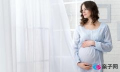 孕期饮食清单:孕前期吃什么? 孕期饮食清单:孕前期吃什么?