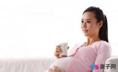 适合孕妇的营养汤水:菊花汤的做法 适合孕妇的营养汤水:菊花汤的做法