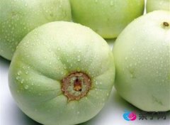 孕妇能吃香瓜吗?孕妇吃香瓜的食用禁忌 孕妇能吃香瓜吗?孕妇吃香瓜的食用禁忌