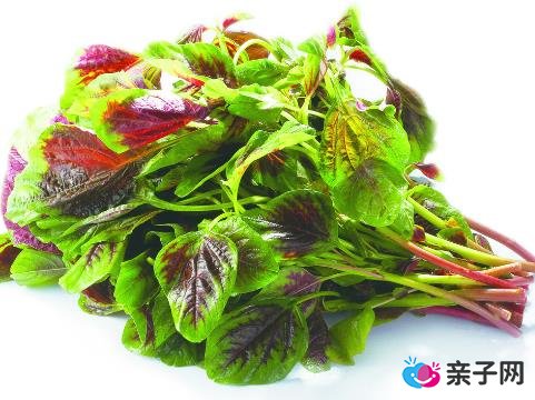 孕妇能不能吃苋菜？孕妇吃苋菜的做法