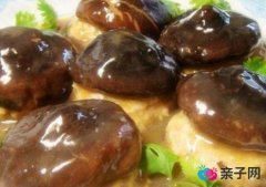 怀孕15周的营养食谱-怀孕15周的饮食注意事项 怀孕15周的营养食谱-怀孕15周的饮食注意事项