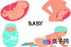 怀孕四个月肚子疼怎么回事