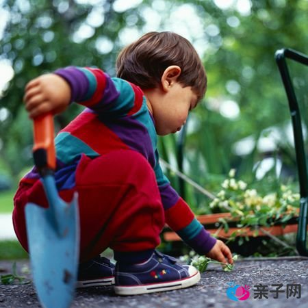 孩子行为的“管”和“放”要有原则性