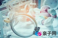 双胎超早产儿，出生体重相差一半，广州438克“掌心BB”出院啦！