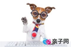 木瓜鲫鱼汤能丰胸吗