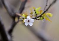 宝宝断奶的最好时间是什么