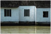 宝宝拉稀期间能吃香蕉吗？