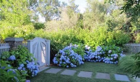 喂母乳可以吃芋头吗