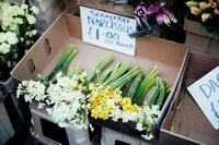 儿童餐椅什么牌子好