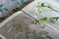 小孩叛逆期是几岁到几岁 小孩叛逆期是几岁到几岁