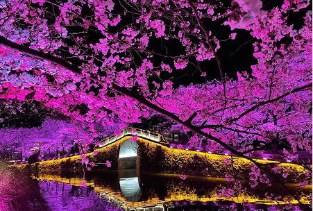 鹅蛋什么时候吃