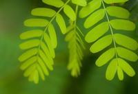 儿童喝什么有助于长高呢