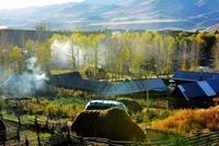 决明子枕头的危害