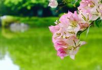 怀孕38周胎儿发育情况,怀孕38周的注意事项 怀孕38周胎儿发育情况,怀孕38周的注意事项