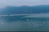 男孩叛逆期怎么办