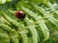 宝宝冬季睡觉该怎么穿 少穿一件才最健康