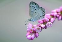 成长日记纸尿裤