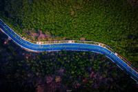 孩子必学的十项基本技能