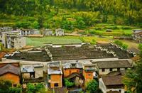 怎样选择婴幼儿奶粉呢