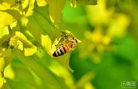 家长必知的心理“排忧处方”