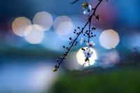 宝宝需分阶段选择纸尿裤