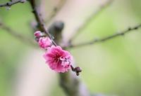 儿童汽车安全座椅