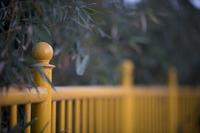 小儿胃疼发烧怎么回事