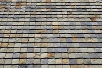 初中生不爱上学怎么正确引导