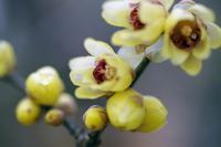 小孩子撒谎有哪些原因导致的