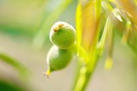 儿童先天性心脏病救助方法