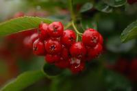 初三学不好读不进去怎么办