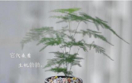 叶酸服用过量的表现有哪些? 叶酸服用过量的表现有哪些?