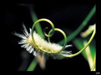 孩子迷恋手机怎么办